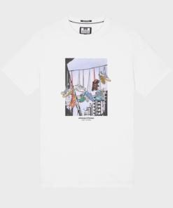 import placeholder for 970